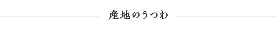 >産地のうつわ「基本の一式」