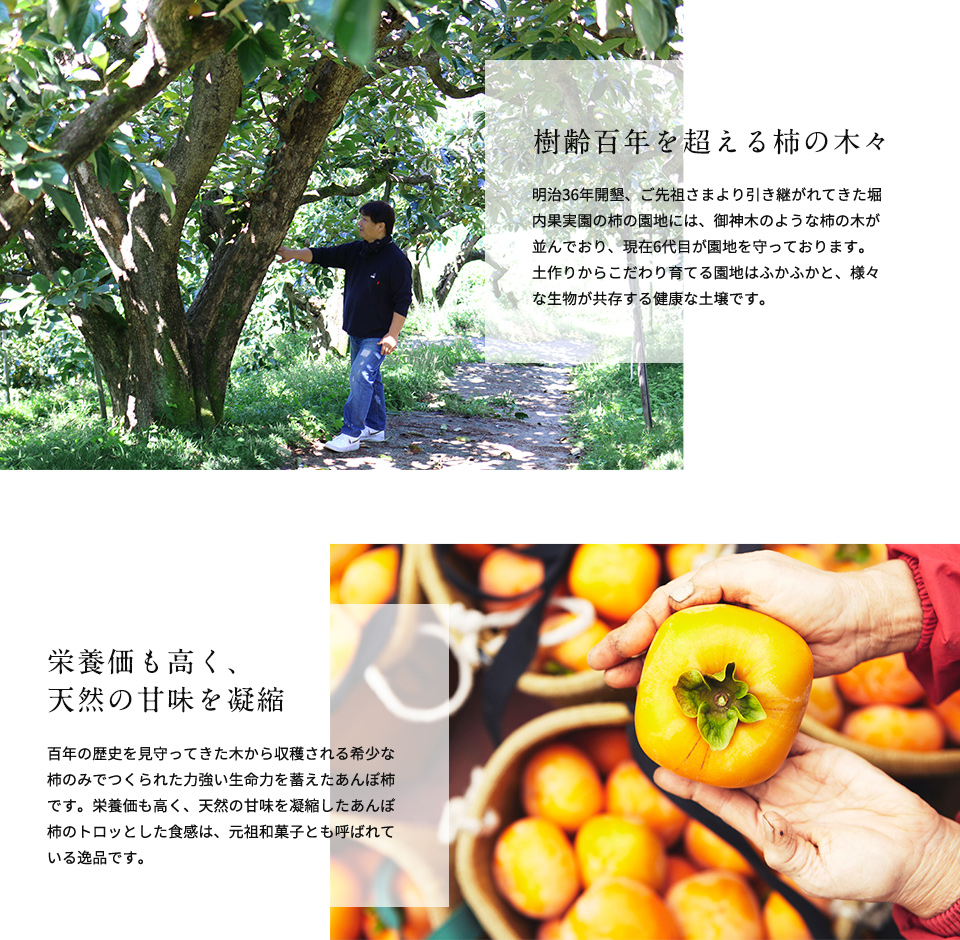 冬の贈りもの