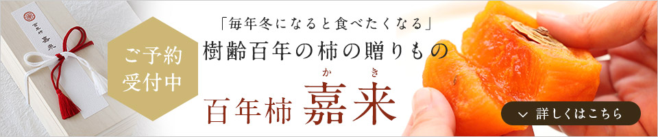 百年柿あんぽ柿嘉来