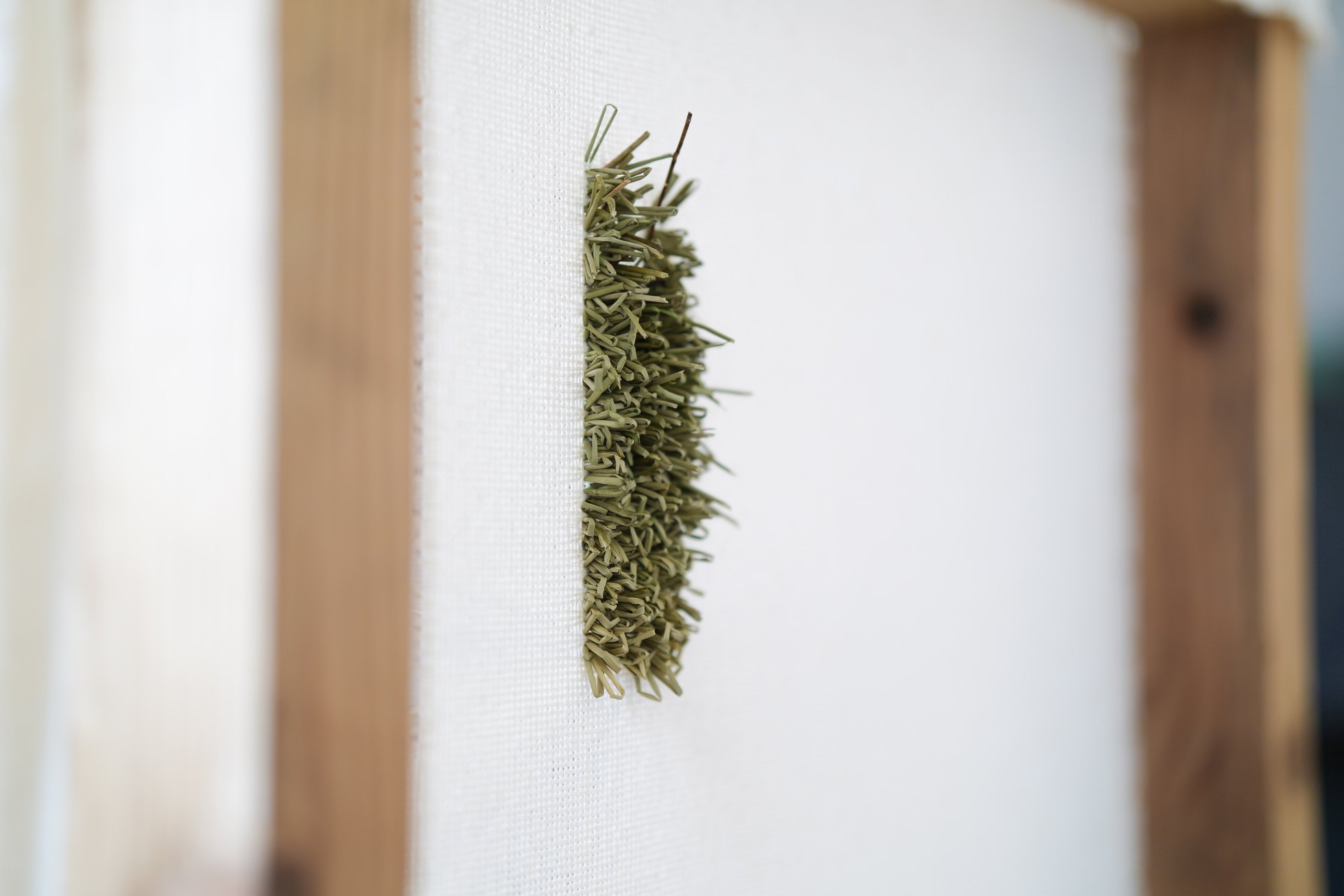 布に打ち込まれたい草。