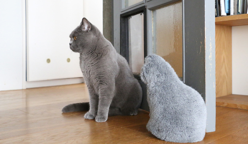 【わたしの好きなもの】NEKO door stopper