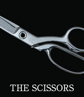 THE SCISSORS
